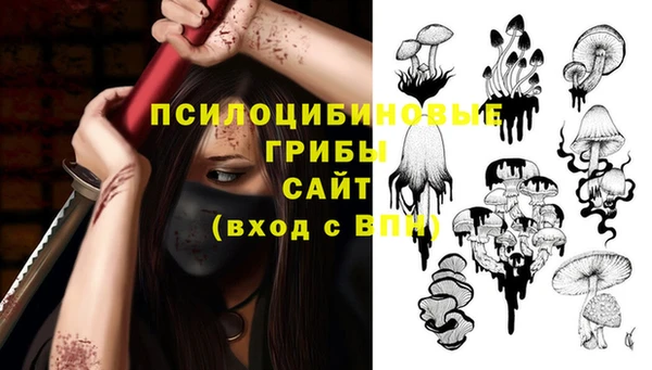 не бодяженный Новозыбков