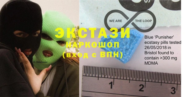 гашик Бикин