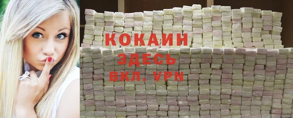 мдпв Нея