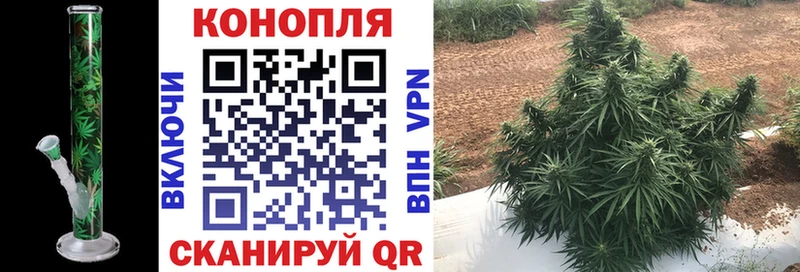 Шишки марихуана тримм  shop как зайти  Андреаполь 
